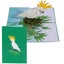 Loading Image 1 of 4