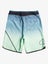 QUIKSILVER YOUTH EVERYDAY NEW WAVE 17" BOARSHORT Carousel 1