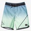 QUIKSILVER YOUTH EVERYDAY NEW WAVE 17" BOARSHORT Carousel 2
