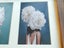 x3 Framed Small Photographic Art Print Images Carousel 5
