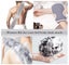3pcs Bath Towel Set Thickened Dual Side Back Scrubber Gloves Bath Ball #DA101102 Carousel 4