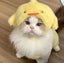 Dog costume pet costume CUTE costume Hat Chick for small pets Carousel 2