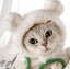 Dog costume pet costume CUTE costume Hat whiteBEAR for small dog and cats Carousel 1