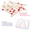 Montessori Matches Puzzles Game Wooden Toys DIY Math Geometry Board Carousel 6