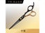 High Quality Japan Original Steel 6.0 Professional Barber Scissors Cosmetic Carousel 7