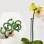 5Pcs Plant Supports Stakes Flower Stand Sticks Reusable Plant Clips Carousel 4