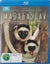 Madagascar - BBC Earth - David Attenborough (Blu Ray) Carousel 1