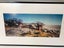 Framed Botswania Landscape Photo (18283) Carousel 2
