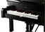 LEGO Ideas Grand Piano 21323 Carousel 13
