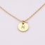 Personalised Round Disc Necklace - Zodiac & Birthstone Carousel 2