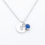 Personalised Round Disc Necklace - Zodiac & Birthstone Carousel 5
