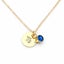 Personalised Round Disc Necklace - Zodiac & Birthstone Carousel 6