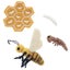 Loading Image 1 of 4