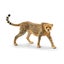Loading Image 1 of 1