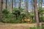 gallery view thumbnail