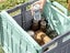 Folding Utility Cart Rolling Crate Handcart with Lid for Camping Shopping Green Carousel 2