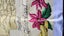 ~" Tropical Queensland Tablecloth "~ Carousel 7