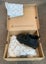 Women’s Dr Martens Boots Carousel 10
