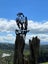 NZ Falcon - Mounted - CorTen Steel Art Carousel 1