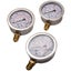 Pressure Tester Diagnostic Coupling Test Kit 6 Couplings 3 Hose 3 Gauge 600Bar Carousel 5