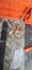 Concrete block molds Carousel 6