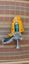 Dart Guns - bulk lot of 3 Carousel 5