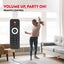 Karaoke Amplifier 2x 300W Black Carousel 12