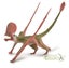 Loading Image 1 of 1