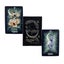 The Witch's Familiar Runic Oracle Cards A 24 English Fate Carousel 6