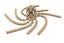 Loading Image 1 of 2