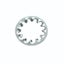 Champion 7/16in internal Star Washer -20pk Carousel 1