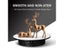 3 Speeds Electric 360 Degree Rotating Jewelry Holder Mirror Turntable Carousel 3