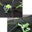 MARK5 5inch FPV Carbon Fiber Frame 225mm Wheelbase with 5mm Arm for Carousel 5