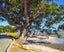 gallery view thumbnail