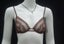 Charming Floral mesh lace Bras sz:14B/14C multi opt Afterpay available Carousel 2