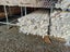 PVC Waste pipe 80MM- 5.8M length Carousel 3