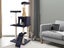 Cat Tree Carousel 1