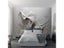Wallpapers Wall Paper Carousel 2