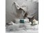 Wallpapers Wall Paper Carousel 3
