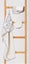 Little Linen: Hooded Towel & Washers - Cheeky Koala Carousel 4