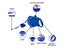 Dog Lead Clearance - Clearance Carousel 2