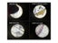100X 400X 1200X LED Lighted Children Toy Monocular Plastic Biological Carousel 7