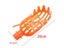 1pcs Practical Plastic Fruit Picker Fruit Catcher Without Pole Gardening Carousel 5