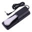 Universal Piano Keyboards Sustain Foot Pedal With Piano Style Action For Elect Carousel 1