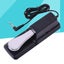 Universal Piano Keyboards Sustain Foot Pedal With Piano Style Action For Elect Carousel 2