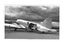 Loading Image 1 of 1