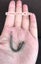 Brand new vintage style hook ($0.5-$1.6/ea, I307&I474 &I475) Carousel 4