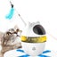 Interactive Indoor Electric Laser and Chasing Cat Toy CUSB Charging Carousel 4
