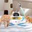 Interactive Indoor Electric Laser and Chasing Cat Toy CUSB Charging Carousel 10