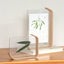 6 Inches Minimalistic Creative Acrylic Home Decoration Herb Photo Frame Carousel 4